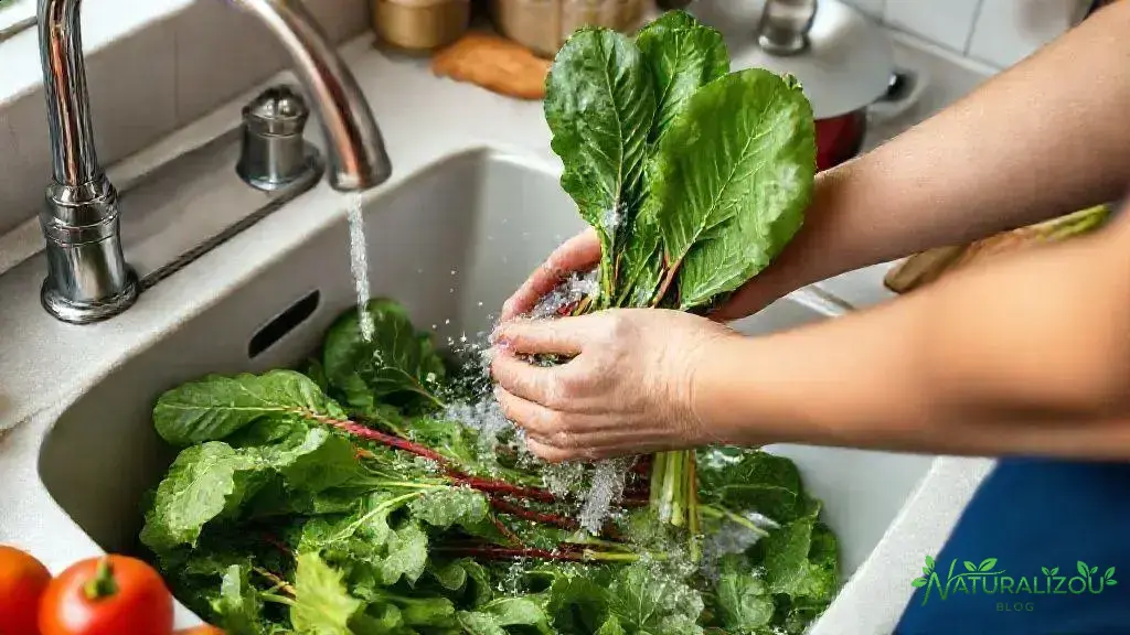 Como consumir acelga sem riscos para o intestino Como consumir acelga sem riscos para o intestino