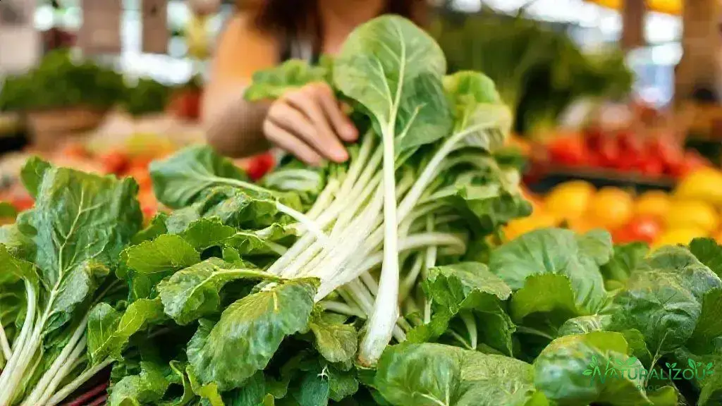 Como escolher acelga fresca e de qualidade