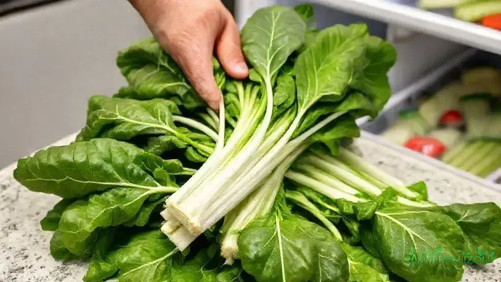 como escolher e conservar acelga fresca como escolher e conservar acelga fresca