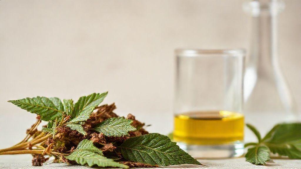 Chá de pariri emagrece? análise científica e mitos