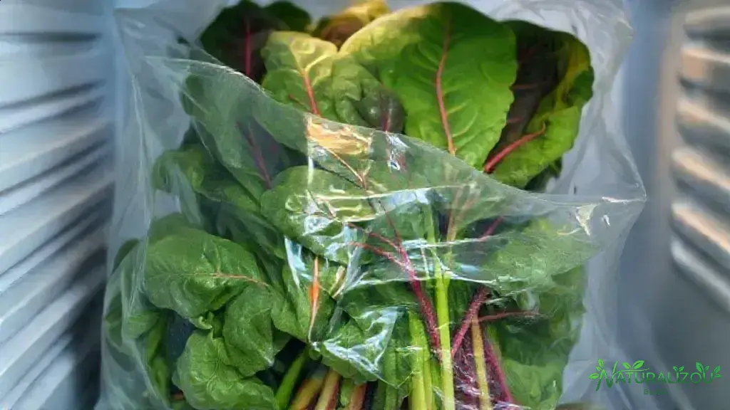 Dicas para armazenar acelga e evitar desperdício