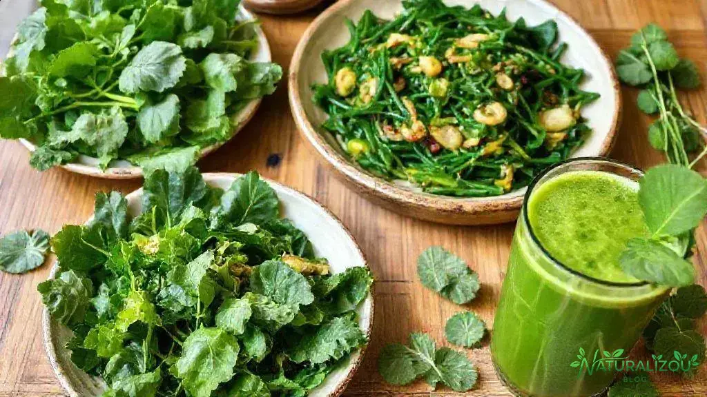 Dicas para consumir acelga selvagem em receitas diversas Dicas para consumir acelga selvagem em receitas diversas