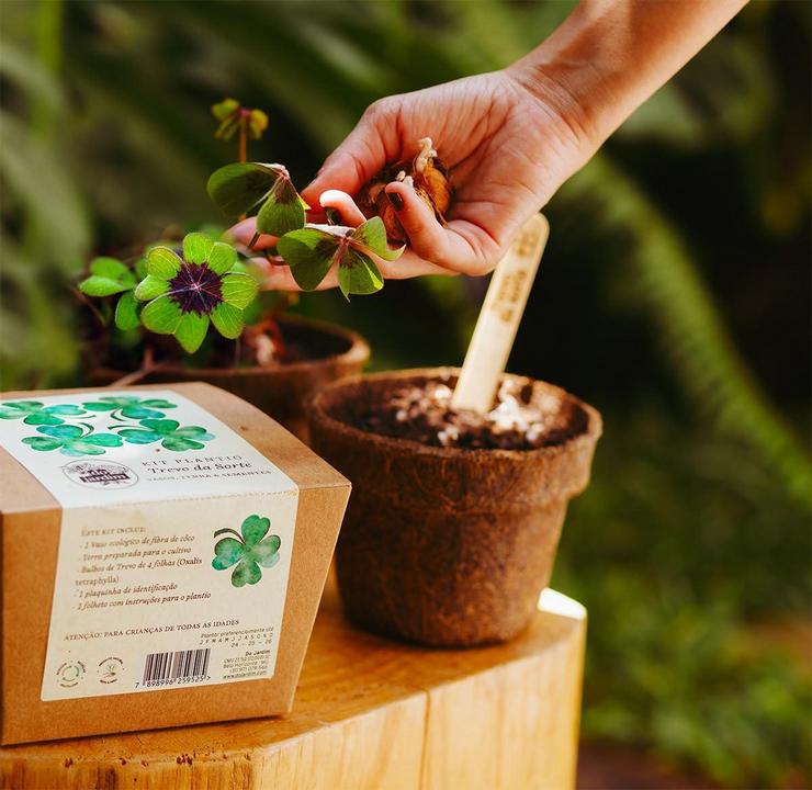 Kit Plantio Trevo da Sorte: Cultive Sorte em 2025