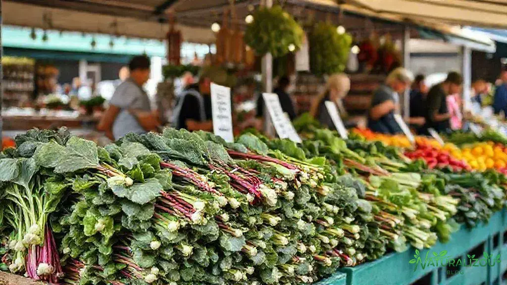 onde comprar acelga com preço acessível