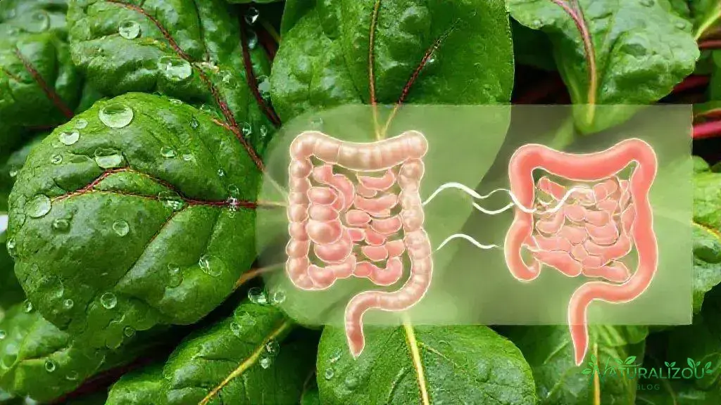 Por que a acelga pode soltar o intestino? Por que a acelga pode soltar o intestino?