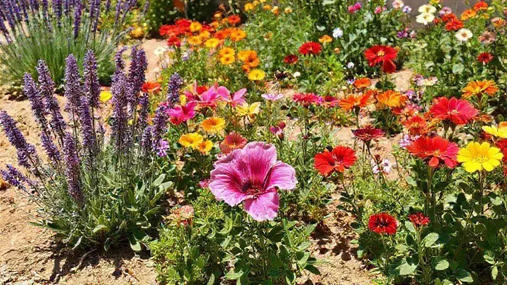 principais espécies que aguentam calor e seca