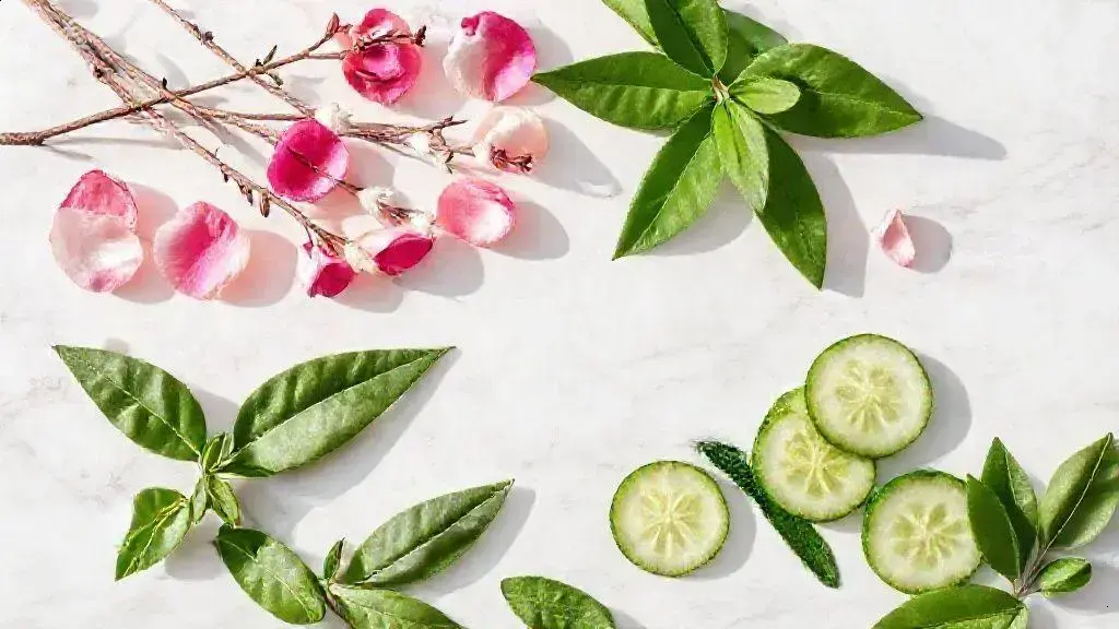 Principais ingredientes para remover maquiagem