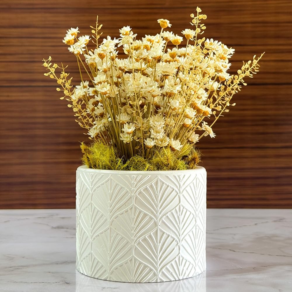 Arranjo de Flores Sempre-Vivas Naturais em Vaso Decorativo, 15 cm, Branco com Padrão Art Déco (1) Arranjo de Flores Sempre-Vivas Naturais em Vaso Decorativo, 15 cm, Branco com Padrão Art Déco (1)