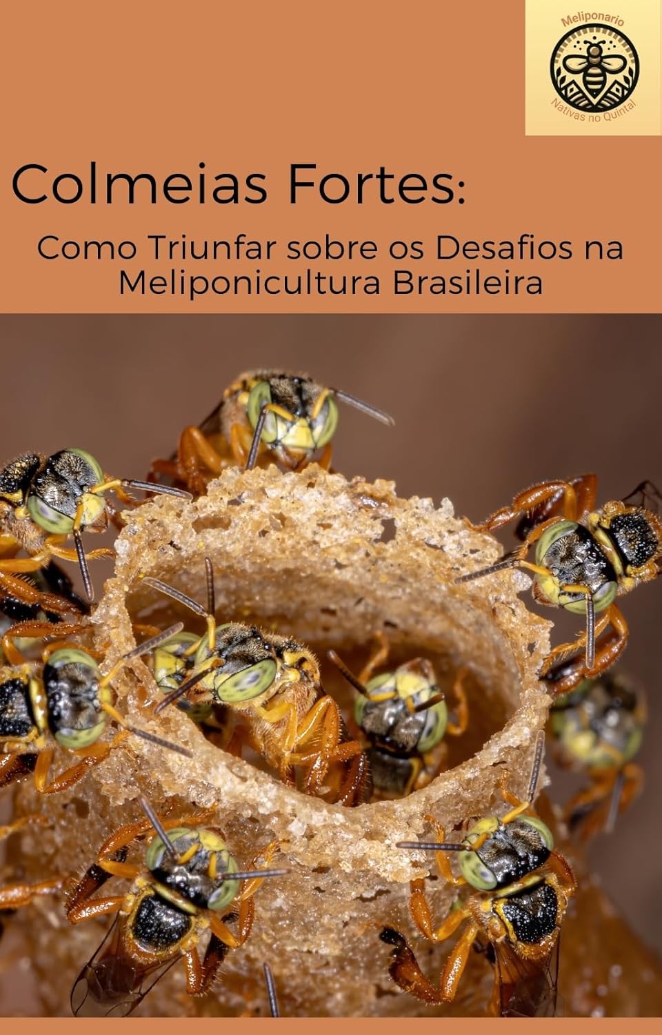Colmeias Fortes: Como Triunfar sobre os Desafios na Meliponicultura Brasileira (Meliponários)