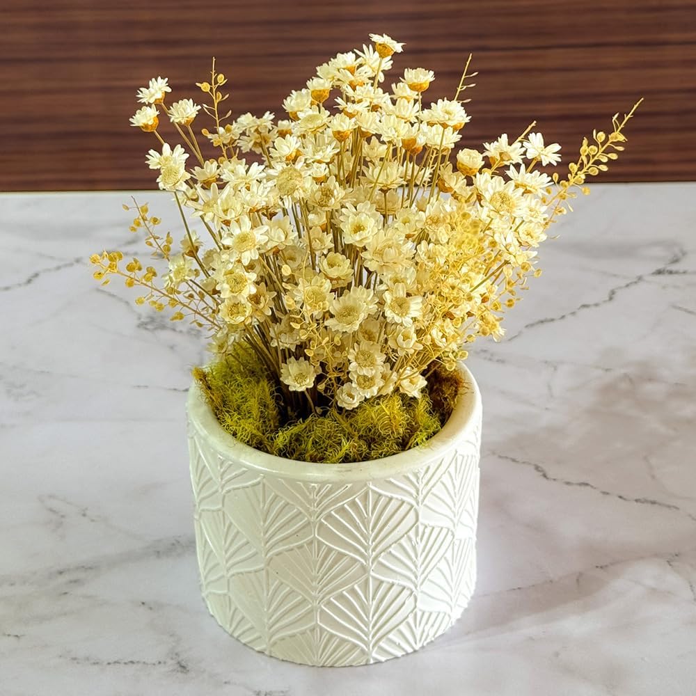 Imagem frontal de um vaso com flores sobre um fundo de mármore. Imagem frontal de um vaso com flores sobre um fundo de mármore.