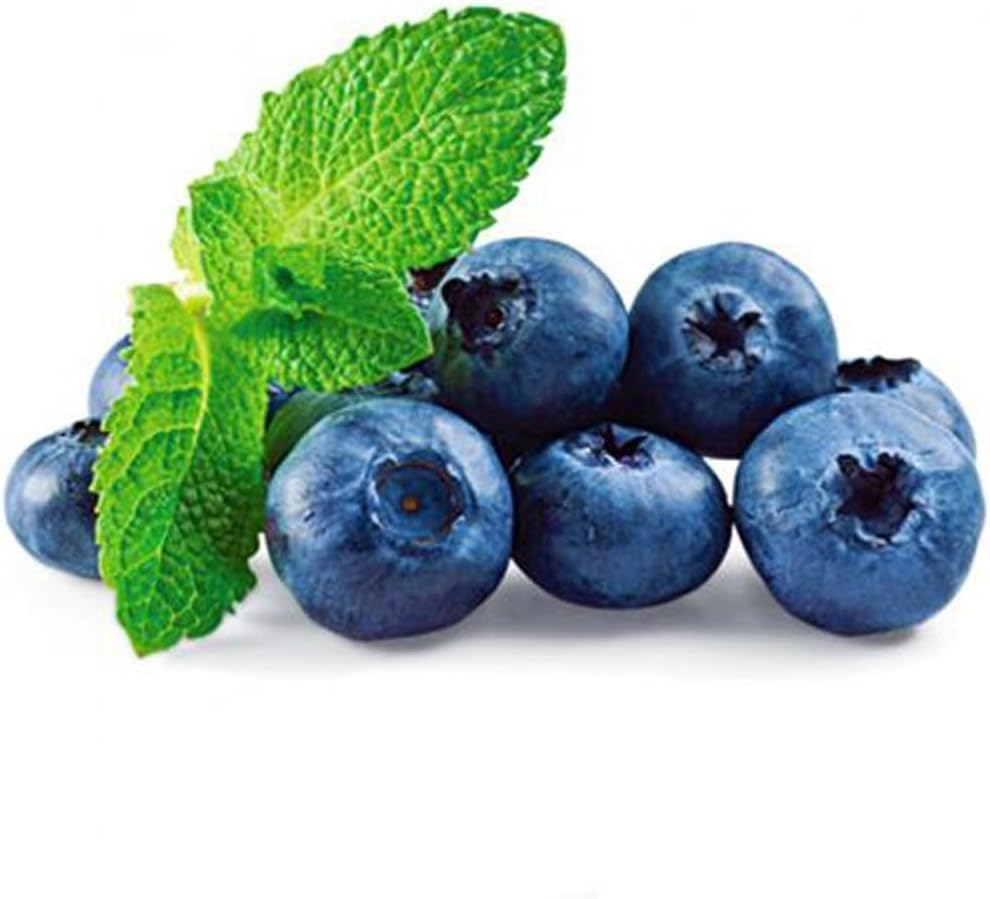 fundo branco e limpo, sem distrações.