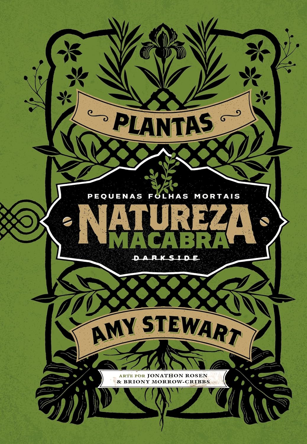 Imagem com fundo verde liso e padrões de folhas. Imagem com fundo verde liso e padrões de folhas.