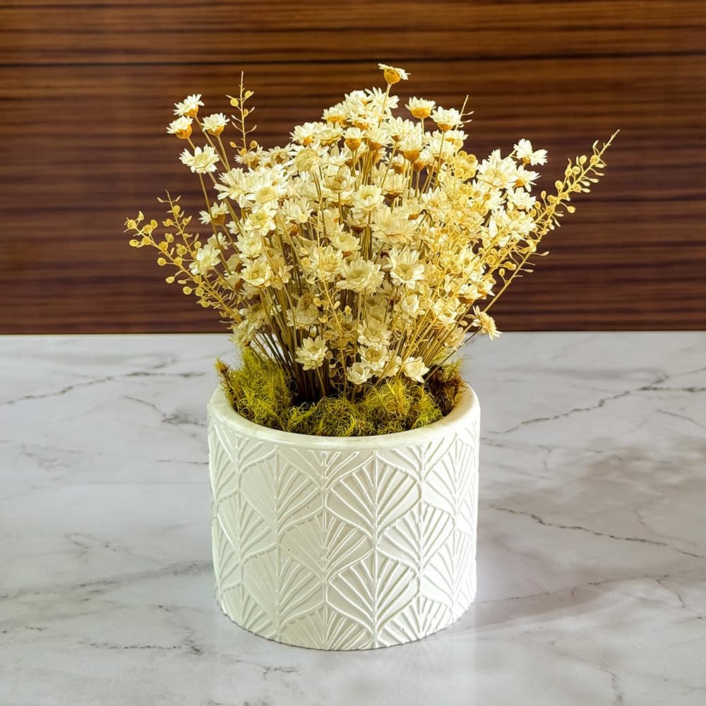 Imagem frontal de um vaso com flores sobre um fundo de madeira escura. Imagem frontal de um vaso com flores sobre um fundo de madeira escura.