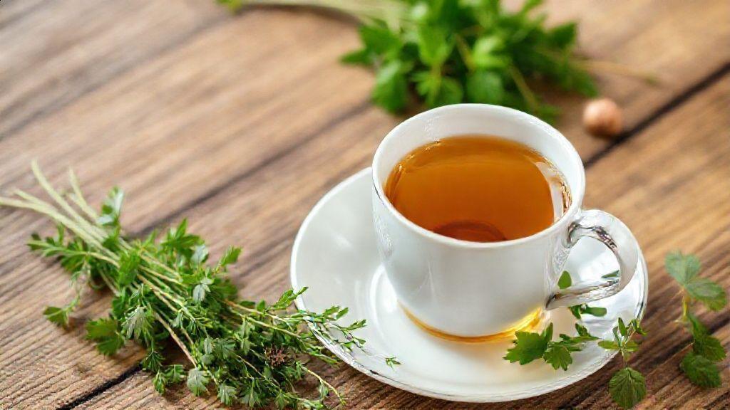 Como preparar e usar a cidreira no dia a dia