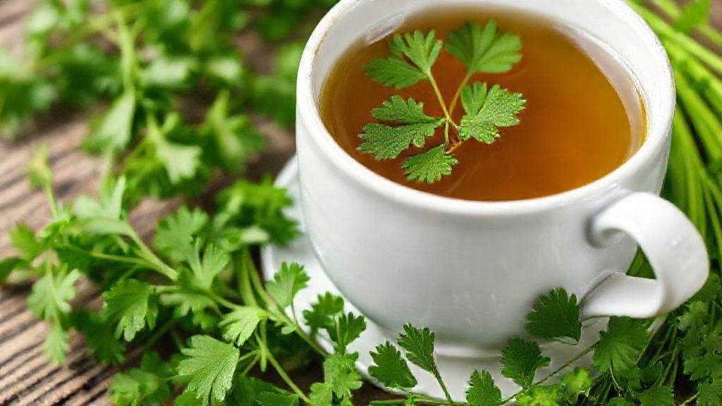 Como preparar chá de salsa corretamente