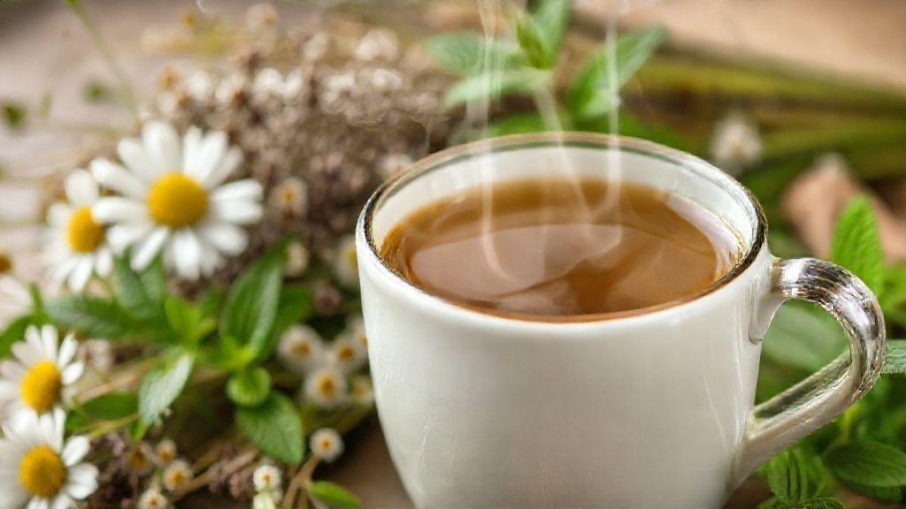 Principais tipos de chá para e seus usos específicos