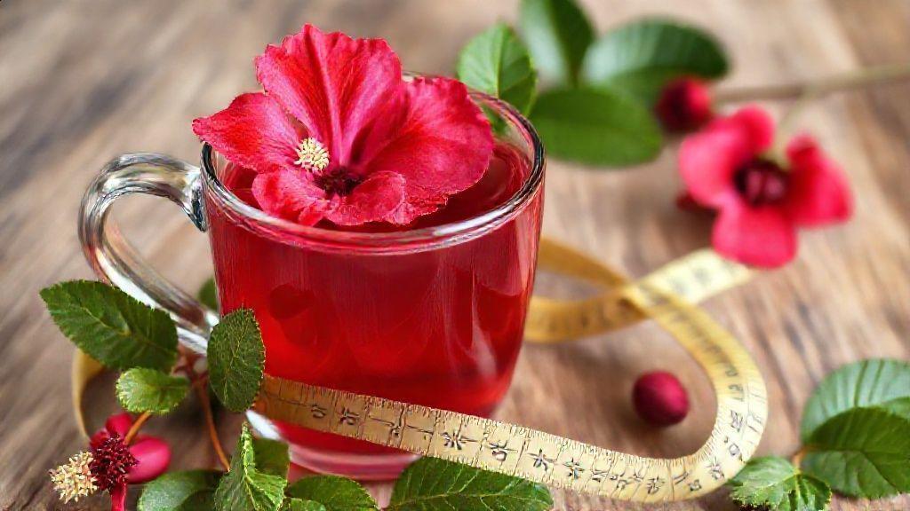 Como consumir hibisco para emagrecer de forma segura e eficaz Como consumir hibisco para emagrecer de forma segura e eficaz