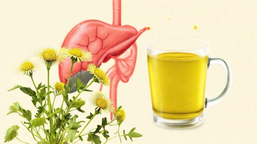 Como preparar e consumir o chá de dente de leão para o fígado