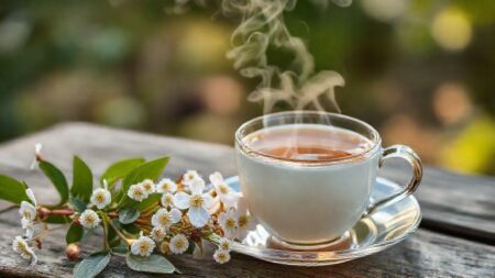 Chá de macela para que serve: descubra seus benefícios e usos essenciais