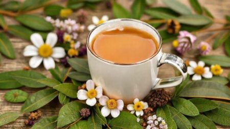 Chá de mulungu para que serve: descubra os benefícios pouco conhecidos Chá de mulungu para que serve: descubra os benefícios pouco conhecidos