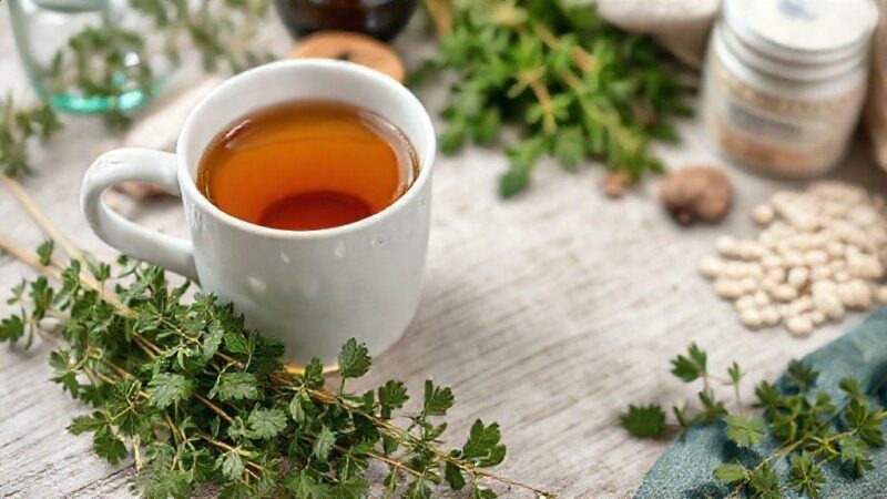 Chá de orégano para menstruação: alívio natural e eficaz que você precisa Chá de orégano para menstruação: alívio natural e eficaz que você precisa