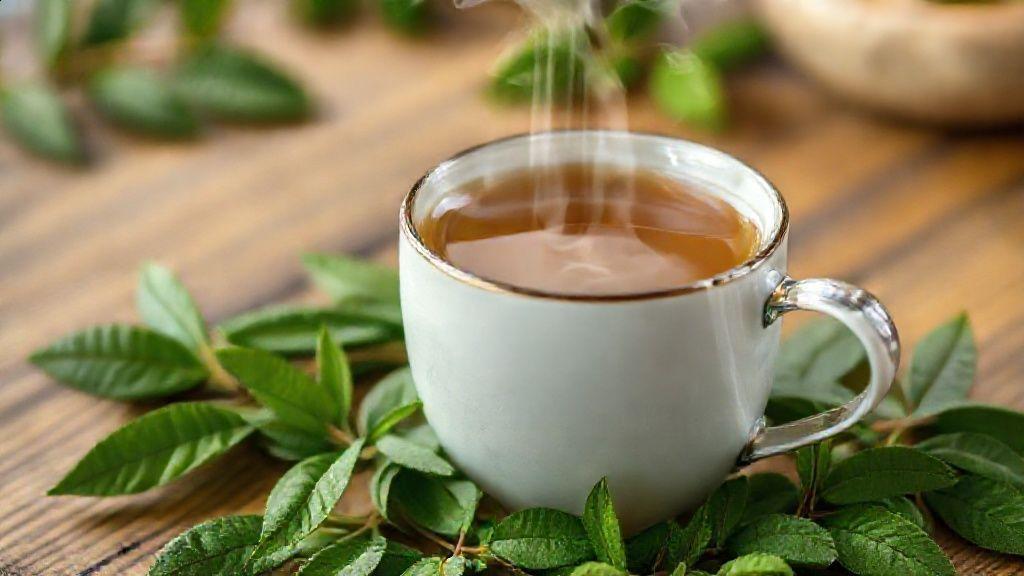 O que é o chá de poejo e sua origem O que é o chá de poejo e sua origem