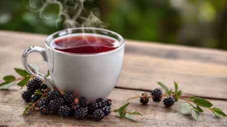 Chá de sabugueiro para que serve: benefícios e usos essenciais que você precisa saber Chá de sabugueiro para que serve: benefícios e usos essenciais que você precisa saber