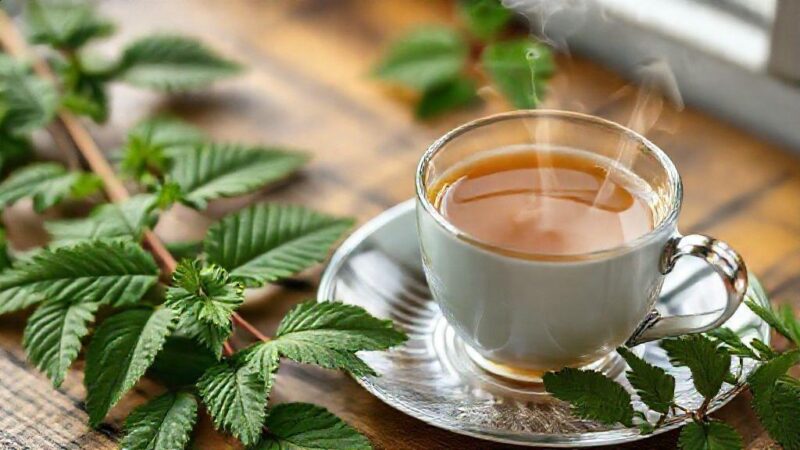 Chá de sene emagrece? Descubra o que a ciência e a experiência dizem!