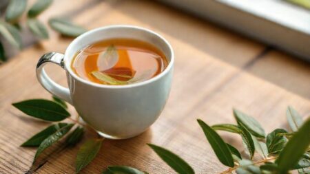 Chá de sene emagrecer: saiba como usar e evitar riscos para seu corpo Chá de sene emagrecer: saiba como usar e evitar riscos para seu corpo