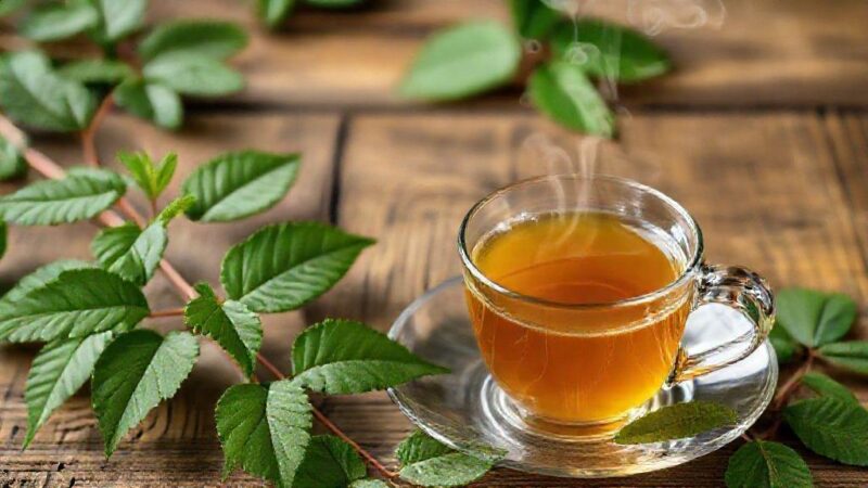 Chá de sene serve para quê: benefícios, usos e cuidados essenciais para você