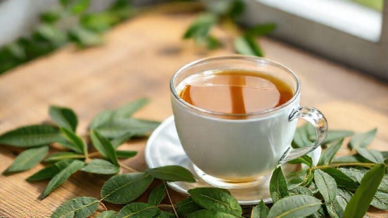 Chá de sene tira o sono? Descubra a verdade e como usar com segurança