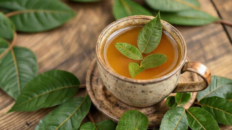 Chá de sucupira: benefícios surpreendentes e como usar para saúde