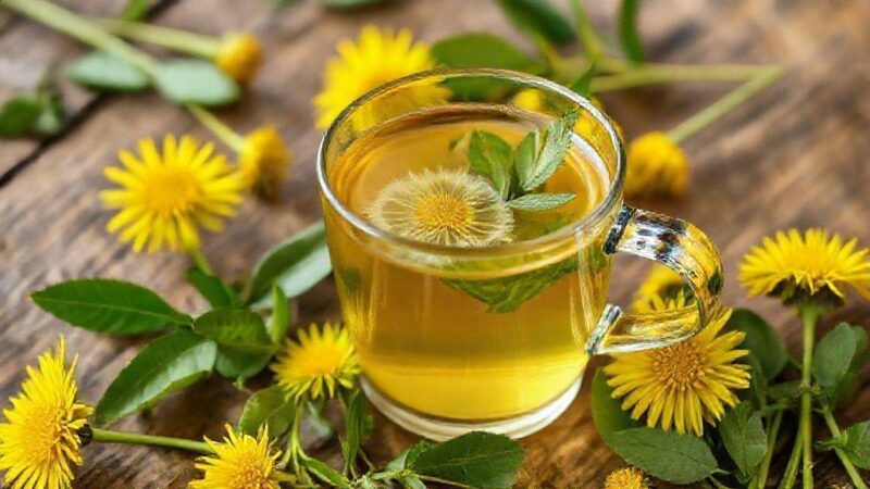 Chá dente de leão fígado: descubra seus benefícios surpreendentes para sua saúde