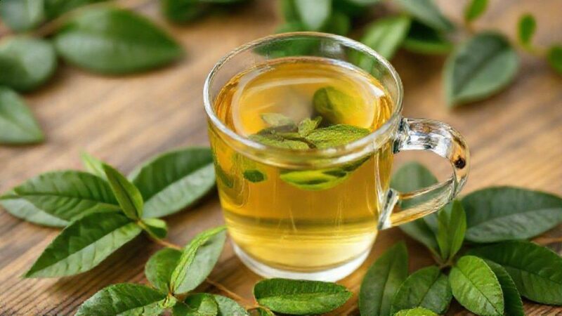 Chá Lucia Lima: benefícios revelados para sua saúde e bem-estar