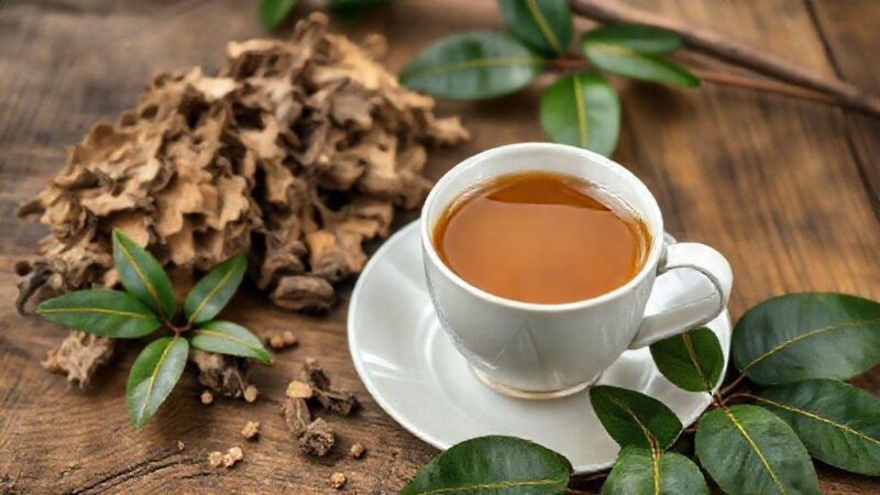 Chá mulungu para que serve: descubra seus benefícios surpreendentes hoje Chá mulungu para que serve: descubra seus benefícios surpreendentes hoje