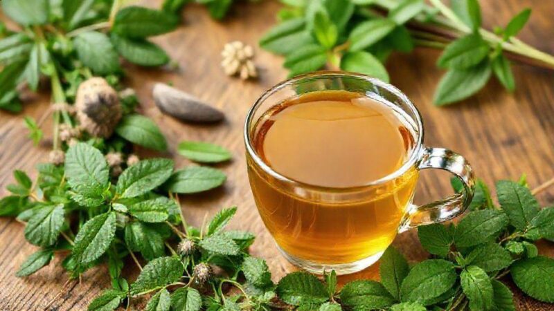 Chá para limpar a vesícula: benefícios, uso correto e mitos desvendados Chá para limpar a vesícula: benefícios, uso correto e mitos desvendados