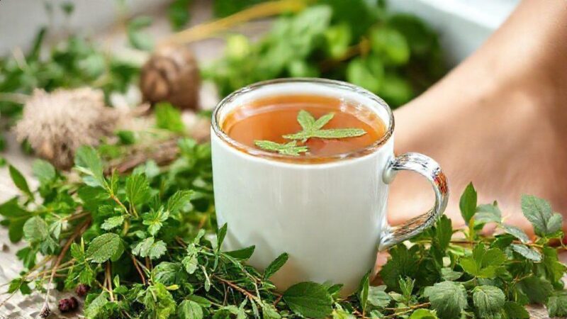 Chá para má circulação nas pernas: descubra os melhores e seus benefícios