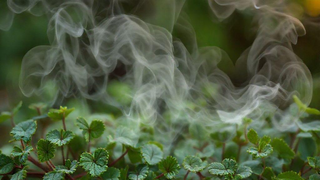 Como o chá pode ajudar a circulação Como o chá pode ajudar a circulação