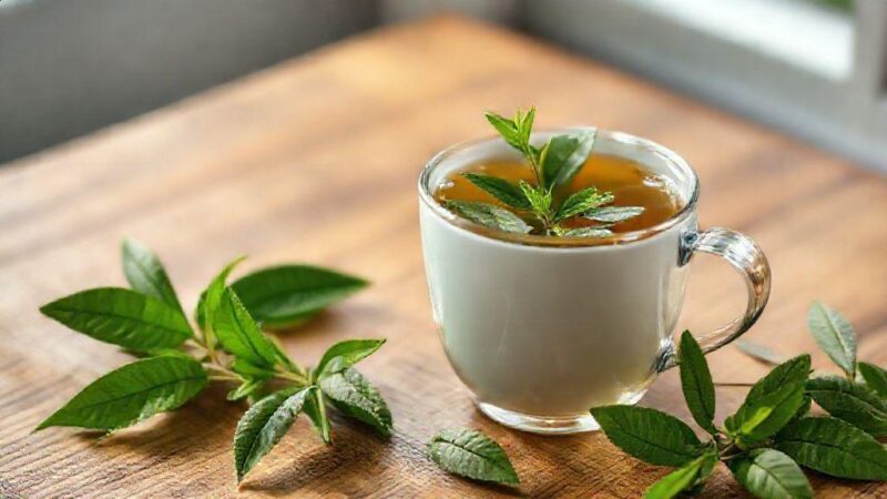 Chá para vesícula: benefícios e segredos para a saúde dessa glândula vital Chá para vesícula: benefícios e segredos para a saúde dessa glândula vital