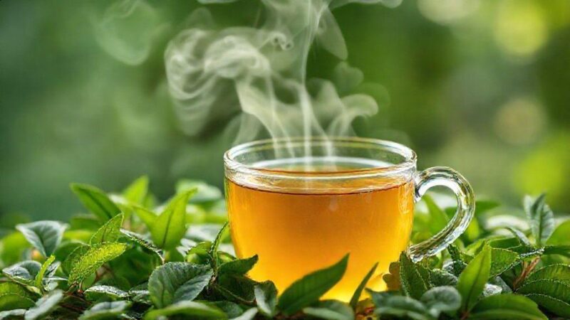 chá pressão alta: Descubra os melhores chás para controlar a hipertensão chá pressão alta: Descubra os melhores chás para controlar a hipertensão