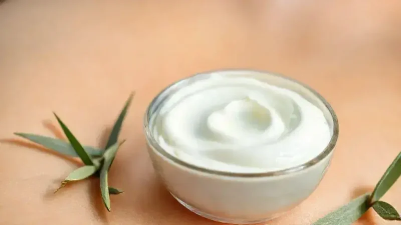 Colágeno e Elastina: Como Hidratantes Caseiros Reforçam a Firmeza da Pele Colágeno e Elastina: Como Hidratantes Caseiros Reforçam a Firmeza da Pele