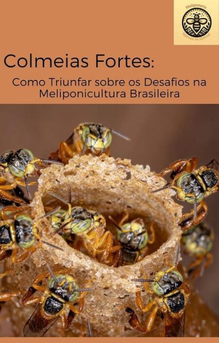 Colmeias Fortes: Como Triunfar na Meliponicultura em 2025