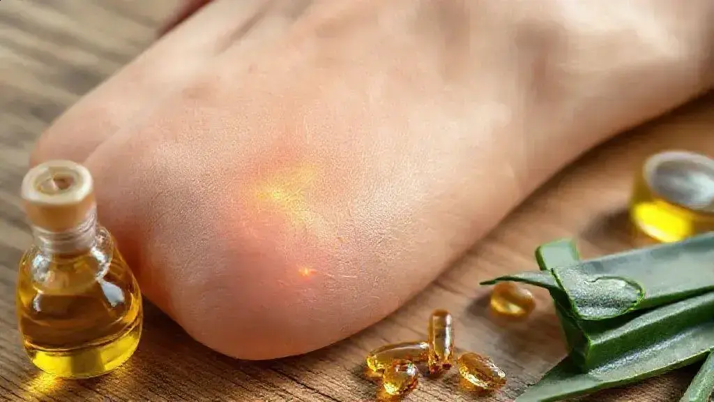 Como a elastina atua na elasticidade cutânea Como a elastina atua na elasticidade cutânea