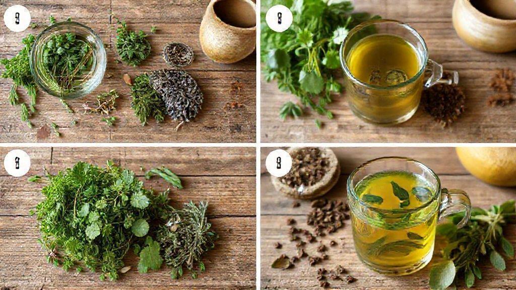 Conclusão: o papel do chá de ervas no seu dia a dia Conclusão: o papel do chá de ervas no seu dia a dia