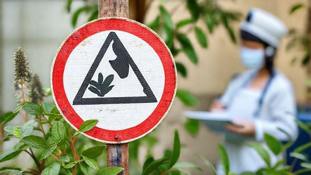 Conclusão: reflexão final sobre o chá sene Conclusão: reflexão final sobre o chá sene