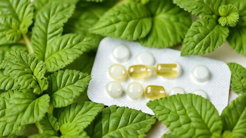 Conclusão: erva cidreira e a pressão arterial