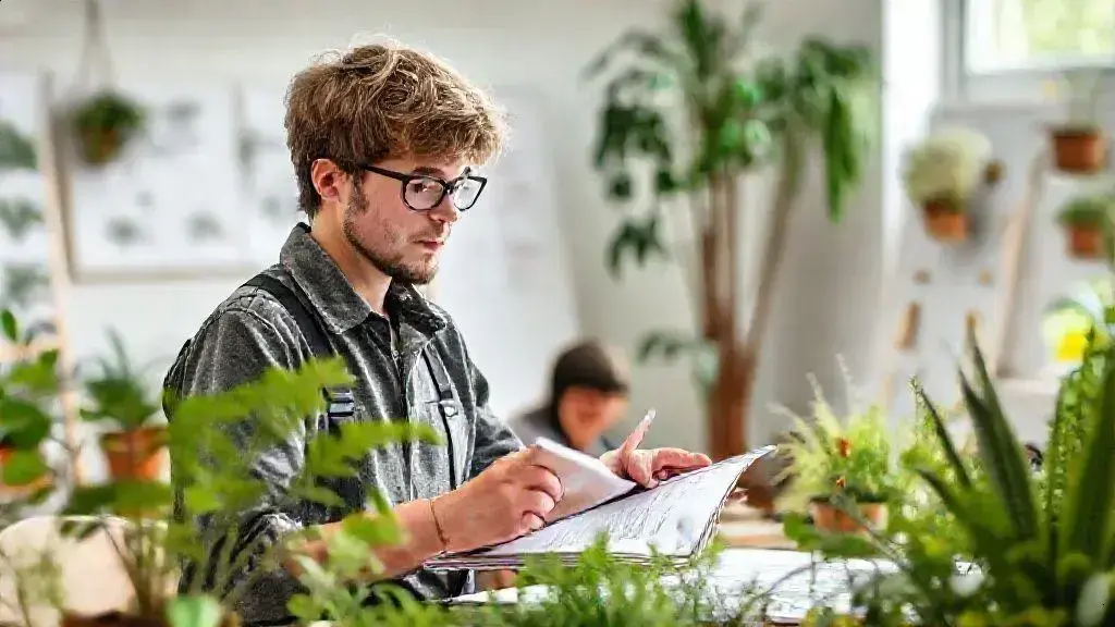 dicas para quem deseja ingressar no setor dicas para quem deseja ingressar no setor