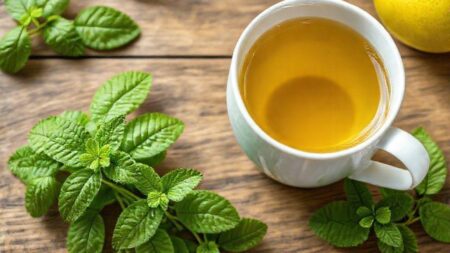 Erva cidreira para que serve: descubra benefícios para corpo e mente