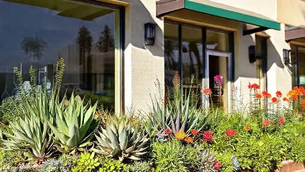 escolha plantas ideais para fachadas expostas ao sol escolha plantas ideais para fachadas expostas ao sol