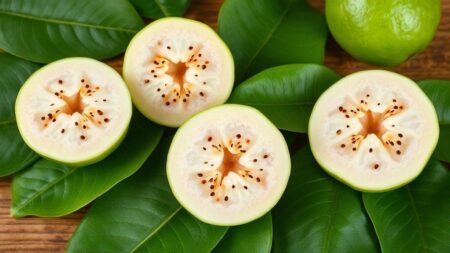 Folha de goiaba para que serve: benefícios surpreendentes para a saúde Folha de goiaba para que serve: benefícios surpreendentes para a saúde